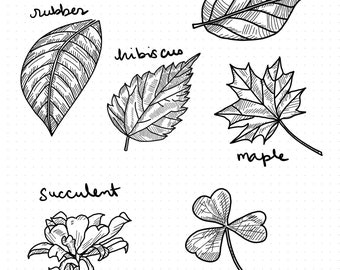 Goodnotes Sticker Sheet - 6 Hand-Drawn Leaves - iPad Journaling and Planners