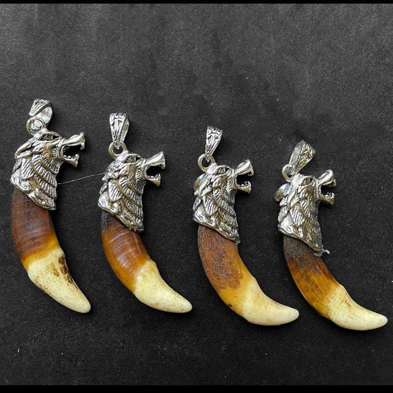 Native american wolf tooth cheap necklace