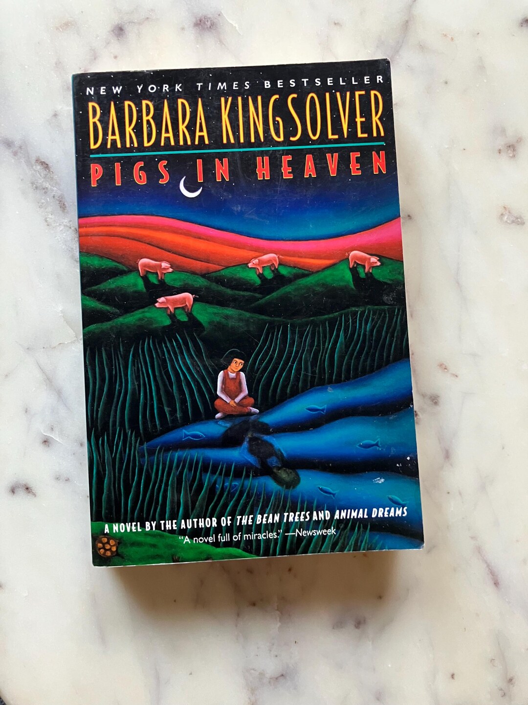 Pigs in Heaven by Barbara Kingsolver - Fiction Paperback Book - Etsy