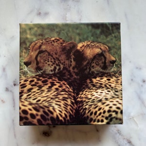 Vintage Cheetah Puzzle - Springbok Puzzle