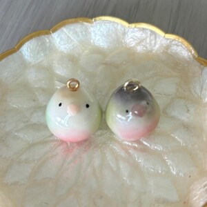 Free shipping  Handmade Conure Parrot Necklace Pendant Conure Quaker Parrot Ring Neck Parrot Lovebird Agapornis