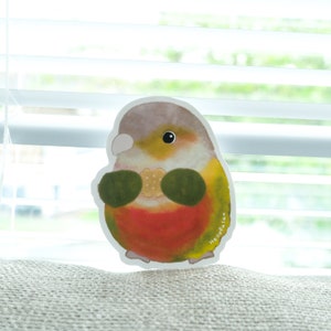 Conure Gepäck Aufkleber, Deko Aufkleber, Kindle Aufkleber, Vogel Liebhaber Geschenk, Geschenk für sie, Beste Freundin, Ein Stück Aufkleber, Haustier Papagei, Anime Aufkleber