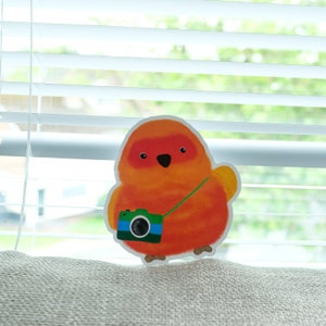 Sonnensittich Gepäck Aufkleber, Deko Aufkleber, Kindle Aufkleber, Vogel Liebhaber Geschenk, Sonnenhut, Geschenk für Sie, Beste Freundin Geschenk, Kawaii Aufkleber