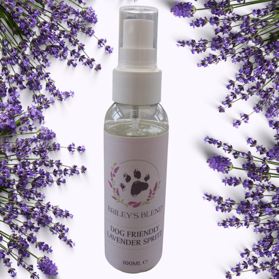 Lavender Spray For Dogs