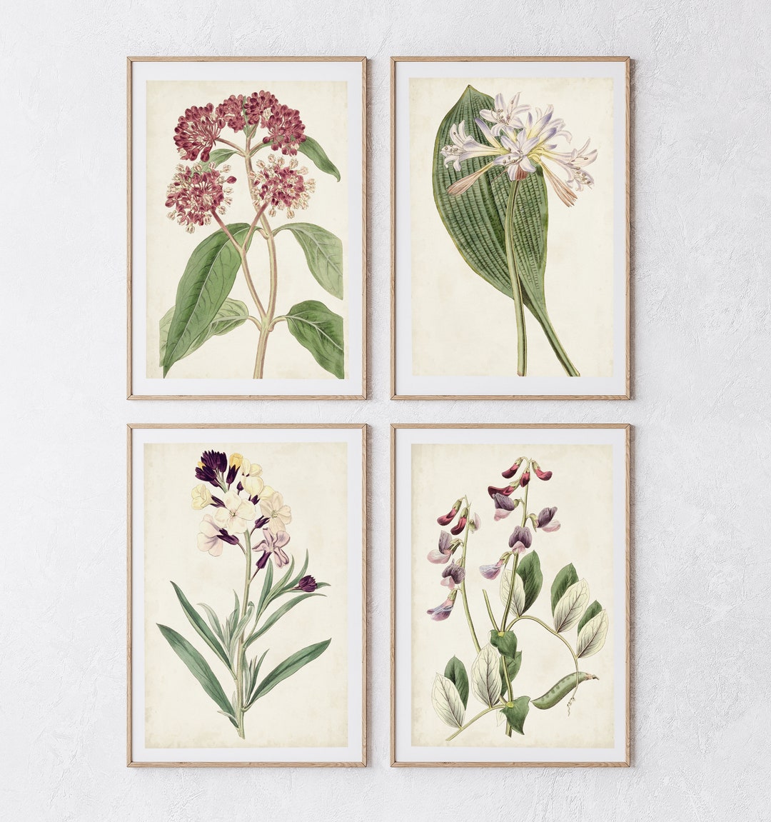 Antique Botanical Prints Set of 4: Floral Wall Art, Pinks & Reds - Etsy UK