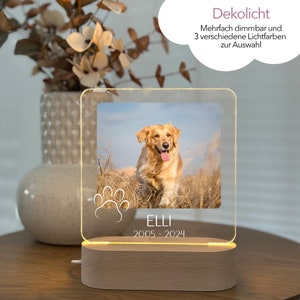 Könnte beinhalten: Ein Holzsockel mit einem klaren Acrylrahmen, der leuchtet. Der Rahmen enthält ein Foto eines Golden Retriever Hundes. Der Sockel hat einen Pfotenabdruck und den Text "ELLI 2005-2024".