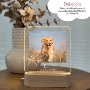 Fotogeschenk Andenken, Familie Geschenk, Fotolampe, Lampe Hund Katze, Haustierlicht, Trauerlicht, Andenken, Gedenksymbol zdjęcie 1