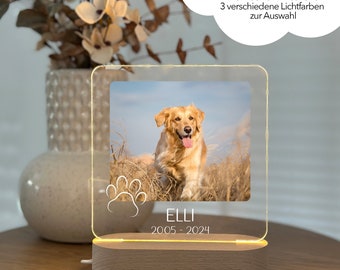 Photo gift souvenir, family gift, photo lamp, lamp dog cat, pet light, mourning light, souvenir, memorial symbol