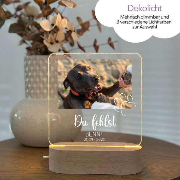 Fotogeschenk Andenken, Familie Geschenk, Fotolampe, Lampe Hund Katze, Haustierlicht, Trauerlicht, Andenken, Gedenksymbol