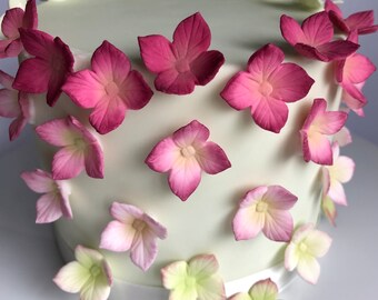 Hydrangea petals - edible sugar flowers for birthday cakes, wedding cakes, cupcakes, various colours available, pinks, greens