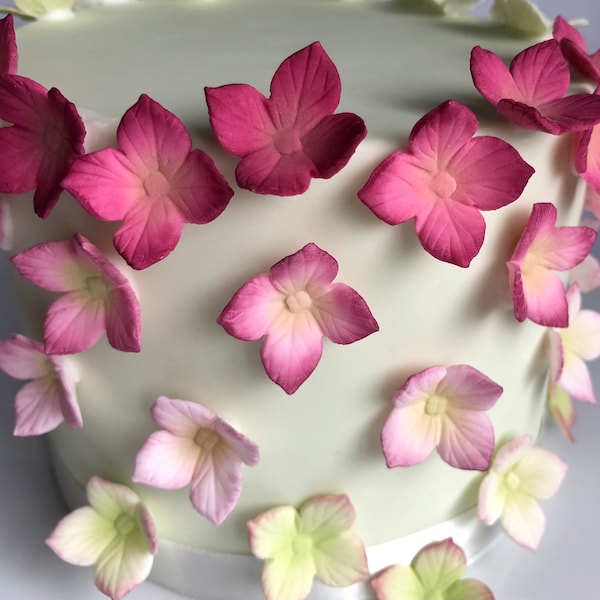 Sugar Flowers for Cakes Etsy UK