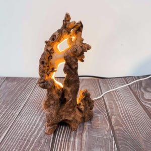 Könnte beinhalten: Eine einzigartige Holzlampe mit einem natürlichen, organischen Design. Die Lampe ist aus einem Stück Treibholz gefertigt und strahlt ein warmes, leuchtendes Licht aus der komplexen Struktur des Holzes aus. Die Lampe ist mit einem weißen Kabel angeschlossen.