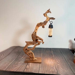 May include: A unique wooden table lamp featuring a natural, sculptural driftwood design. The lamp has a small, rectangular wooden base and a black and clear glass light fixture with a warm, spiral-shaped bulb. The lamp is a decorative accent piece.