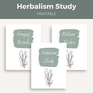 Botanical Study Planner | Foraging Record, Journal, Materia Medica | Digital Download