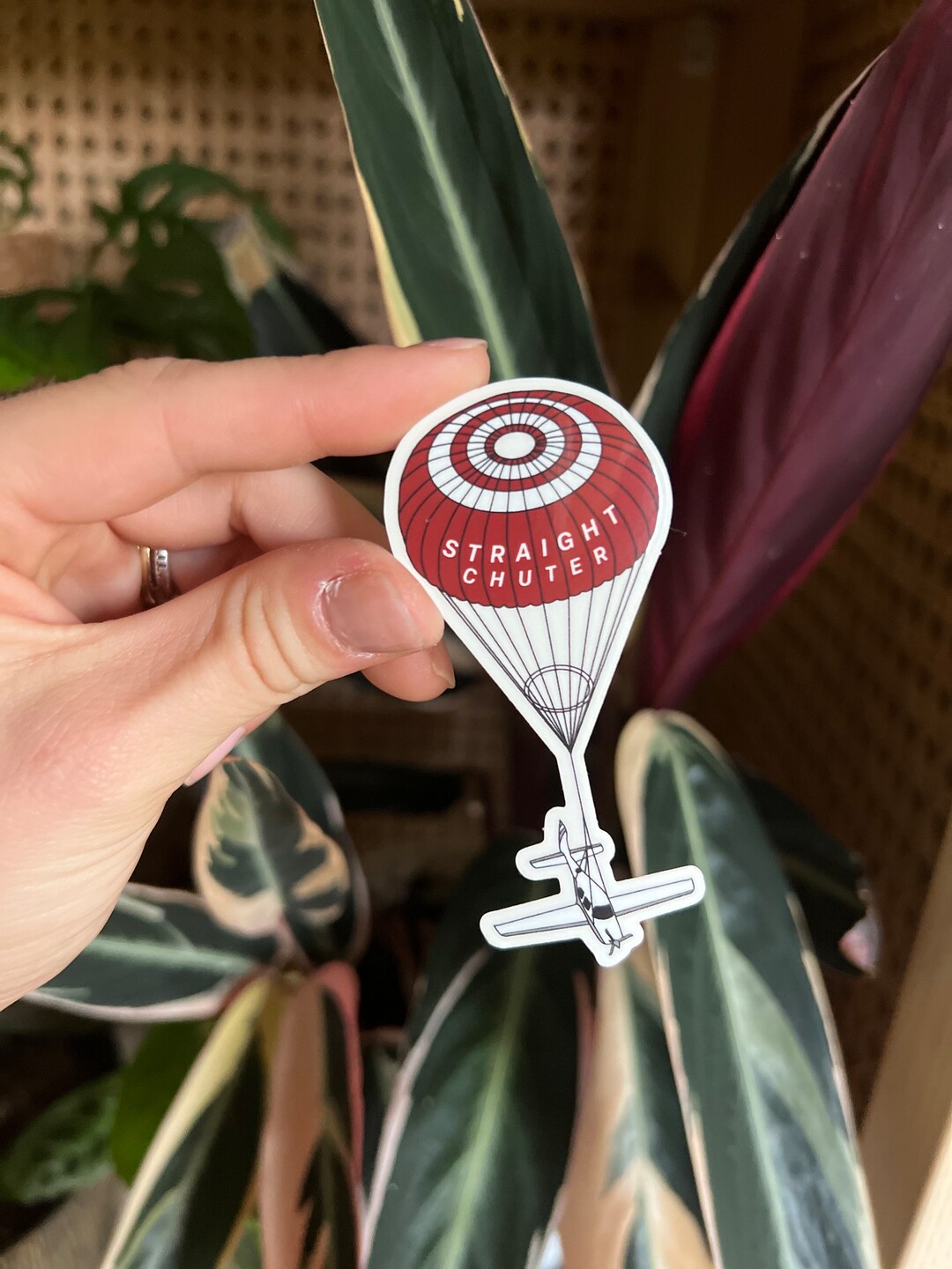 Straight Chuter Cirrus Airplane Sticker - Etsy