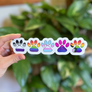 May include: Five paw print stickers with different pride flag colors. The paw prints are arranged in a row from left to right. The colors of the flags are black, grey, orange, yellow, red, blue, pink, purple, white, green, brown, and black.