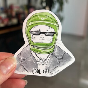 Pegatina de gato divertido para motocicleta / Pegatina de gato divertido resistente a la intemperie mate / Pegatina para teléfono portátil