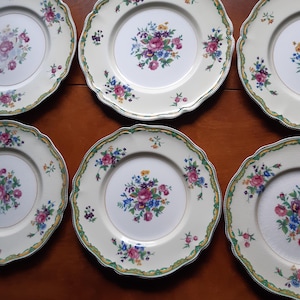 Set of 6 Johnson Bros Old Staffordshire plates