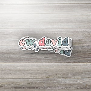 Stickers, Ew, David, Stickers for Tumbler, Schitts Creek Sticker, Vinyl Decals, Laptop Stickers, Planner Stickers.