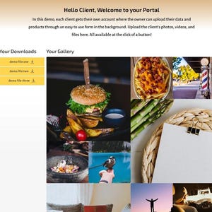 May include: A webpage interface with the text "Hello Client, Welcome to your Portal." The page includes a gallery of images, including a burger, fries, and a bird. There are also download links labeled "demo file one," "demo file two," and "demo file three."