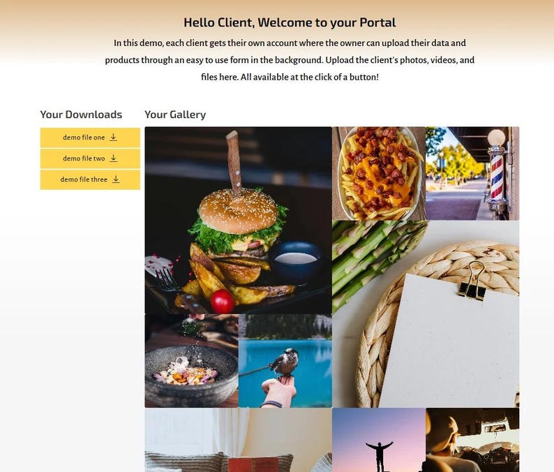 May include: A webpage interface with the text "Hello Client, Welcome to your Portal." The page includes a gallery of images, including a burger, fries, and a bird. There are also download links labeled "demo file one," "demo file two," and "demo file three."