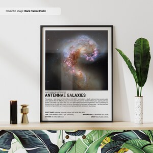 May include: Black framed poster featuring the Antennae Galaxies, captured by the Hubble Space Telescope. The image showcases two interacting spiral galaxies, NGC 4038 and NGC 4039, with vibrant colors and detailed structures. The poster includes descriptive text.