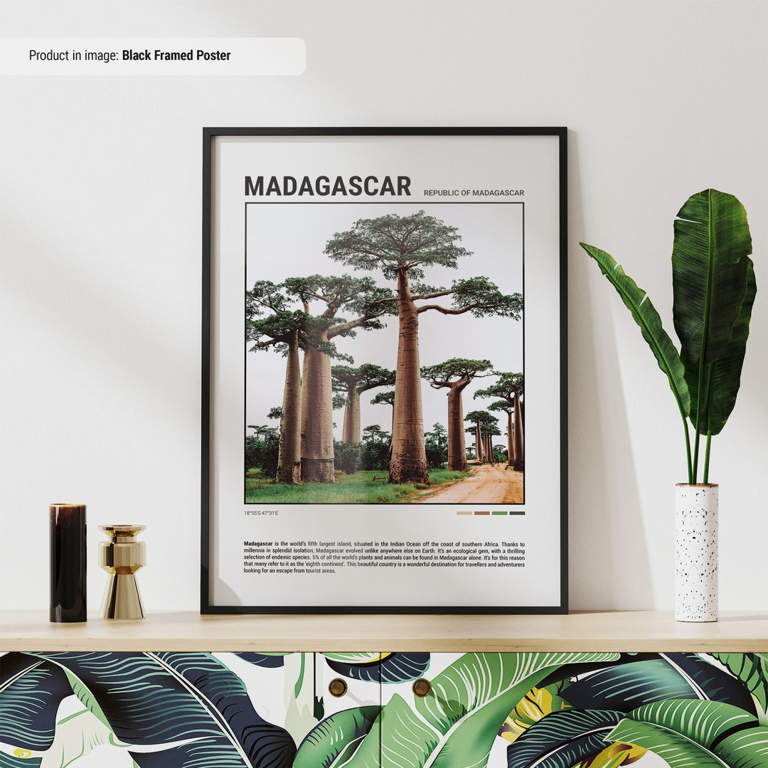 Madagascar Island Travel Poster | Minimalist Africa Wall Art - Etsy