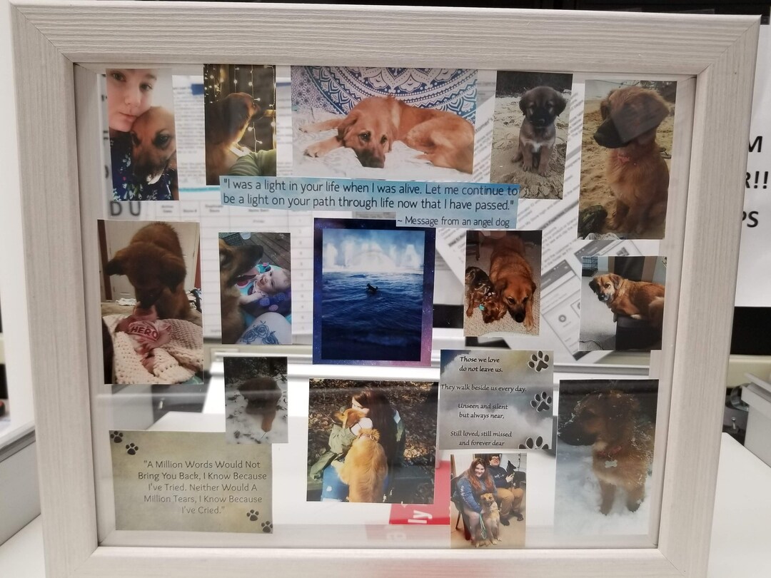 Handmade Floating Frame Custom Floating Frames - Etsy