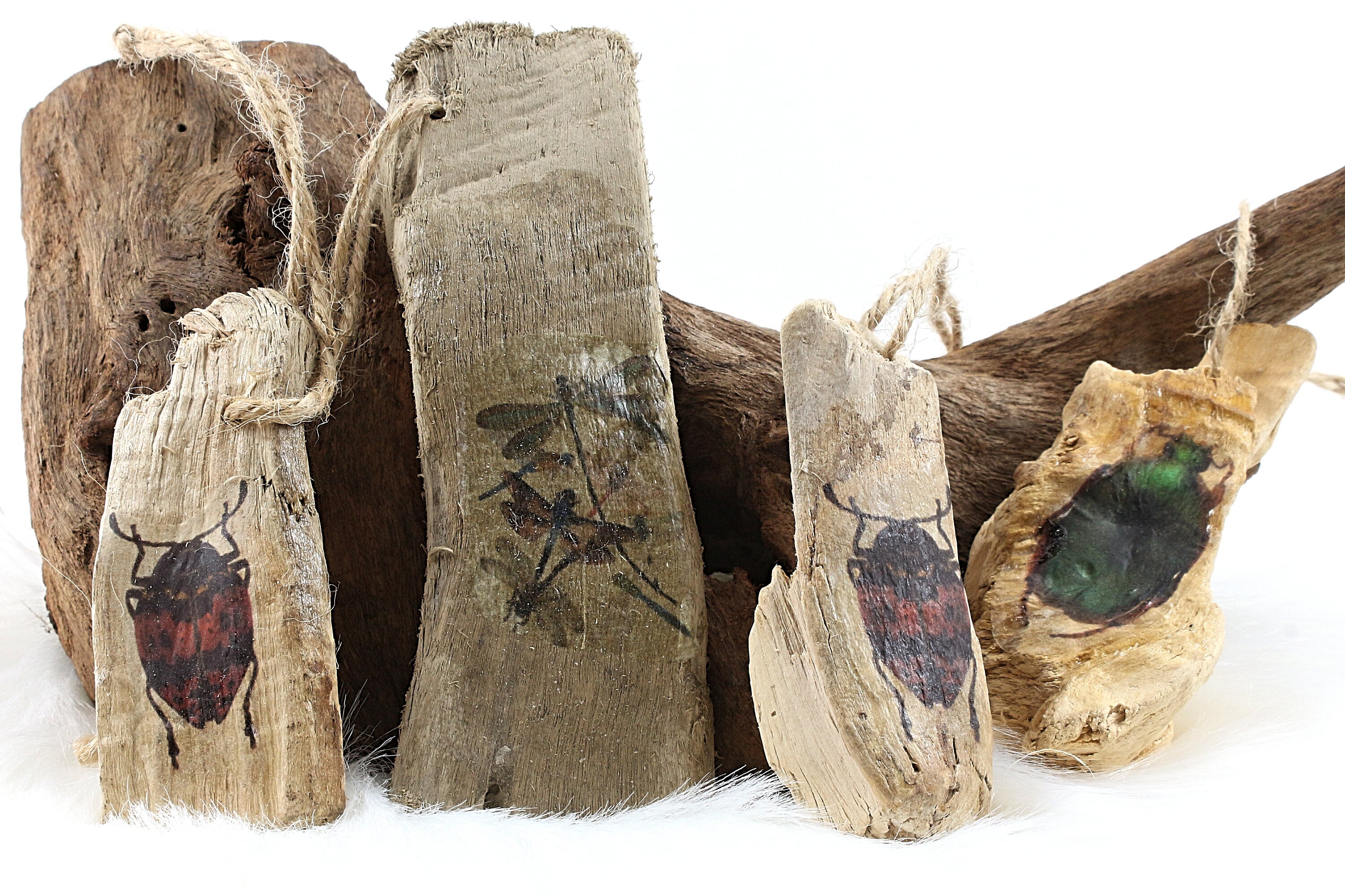 Suspension Naturelle Bois et Insecte, à L'unité ou en Lot, +/ - 9 13cm