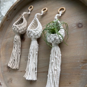 Macrame Air Plant Pod | Air Plant Hanger