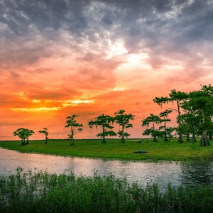 Stampe del fiume St. John in Florida/palude/avventura in airboat/alligatori/uccelli esotici/tramonto/liberazione femminile/mucche/carta/tela/acrilico/metallo
