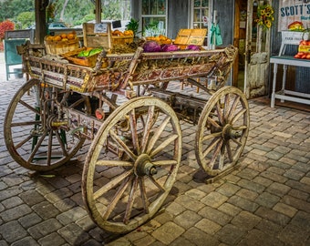 Farm Wagon wall art/Long&Scott Farms/Mt. Dora/Florida/Country Store/Farm Harvest/Farm Wagon/Harvest Fun/Country Store/Corn Maze/Tractors