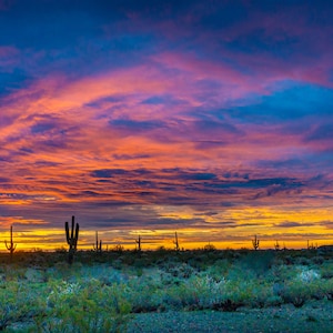 Die Wüste von Arizona/ Wüste/ Südwesten/Wüste/Landschaft/Wildnis/Phönix/Sonnenaufgang/Sonnenuntergang/ Utah Wüste/Nevada/Papier/Leinwand/Acryl/Metall