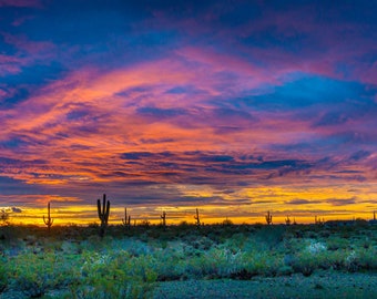 Arizona Desert wall art/Southwestern Art/Desert/Landscape/Wilderness/Poster/Photography/Phoenix/sunrise/sunset/paper/canvas/acrylic/metal