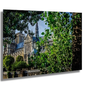 Notre Dame cathedral, Paris, France, gothic church, rose window, gothic architecture, flying buttresses, paper/canvas/acrylic/metal