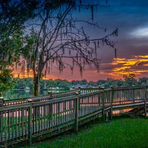 Stampe Florida Dream Lake/Tramonto/alba/decorazione murale/professionale/foto artistica/tramonto/spiaggia/Apopka/muschio spagnolo/carta/tela/acrilico/metallo