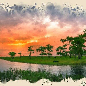 Stampe del fiume St John in Florida/uccelli/palude/avventura in airboat/alligatori/tramonto/liberazione delle donne/pittura a olio/carta/tela/acrilico/metallo
