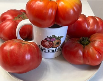 Dester Tomato Seeds | Heirloom | Organic