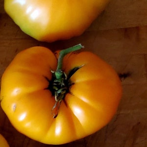 Kellogg&#39;s Breakfast Tomato Seeds | Heirloom | Organic