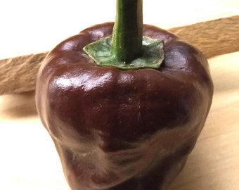 Chilhuacle Negro Pepper Seeds | Hot | Heirloom | Organic