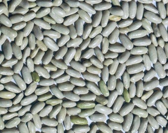 Hungarian Rice Bean Seeds