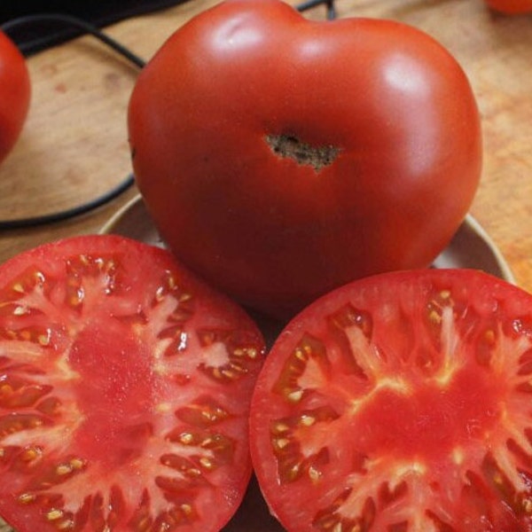 Mark Twain Tomato Seeds | Heirloom | Organic