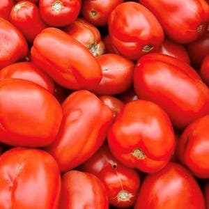 Puede incluir: Una imagen de primer plano de un montón de tomates rojos maduros. Los tomates están dispuestos en un patrón aleatorio, con algunos superpuestos a otros. Los tomates son todos lisos y brillantes, y parecen estar muy frescos.