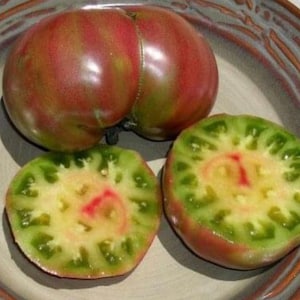 Captain Lucky Tomato Seeds | Organic