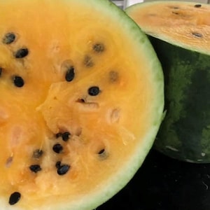 Tendersweet Orange Watermelon Seeds | Organic
