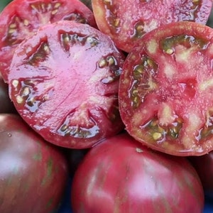 Pink Boar Tomato Seeds | Heirloom | Organic