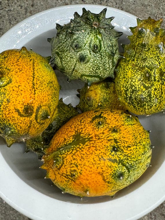 Jelly Melon Seeds | Heirloom | Aka African Horned Cucumber