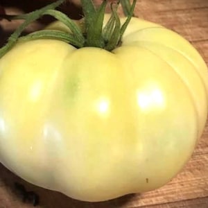 White Tomesol Tomato Seeds | Organic