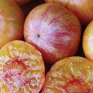 Patty&#39;s Striped Beefsteak Tomato Seeds | Heirloom | Organic
