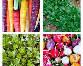 Collection pour les amateurs de salades | Graines